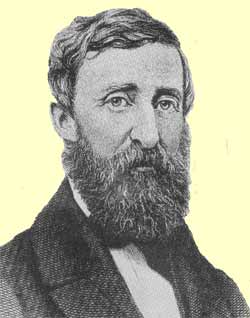 Ralph Waldo Emerson on Thoreau:  He was bred to no profession, he never married; he lived alone; he never went to church; he never voted; he refused to pay a tax to the State; he ate no flesh, he drank no wine, he never knew the use of tobacco; and, though a naturalist, he used neither trap nor gun. He chose, wisely no doubt for himself, to be the bachelor of thought and Nature . . . It was a pleasure and a privilege to walk with him. He knew the country like a fox or a bird, and passed through it as freely by paths of his own.